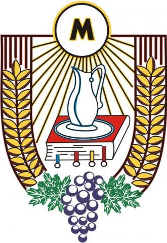 lso logo